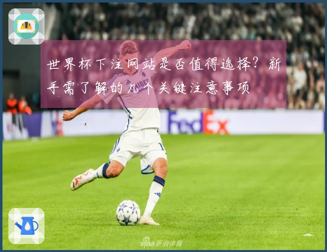 世界杯下注网站是否值得选择？新手需了解的几个关键注意事项