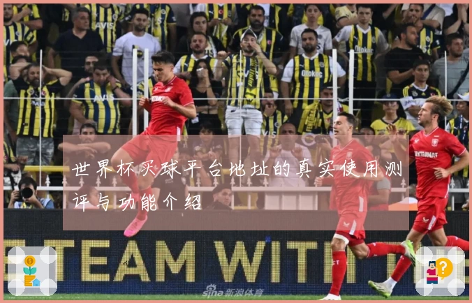世界杯买球平台地址的真实使用测评与功能介绍