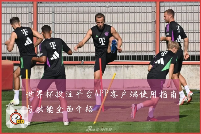世界杯投注平台APP客户端使用指南与功能全面介绍