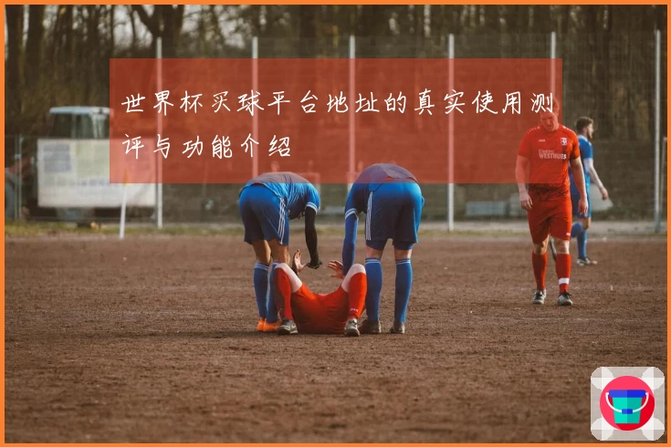 世界杯买球平台地址的真实使用测评与功能介绍