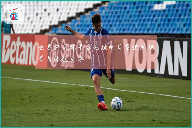 世界杯买球平台地址的日常使用场景与体验分享