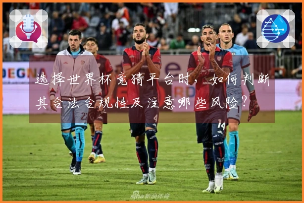 选择世界杯竞猜平台时，如何判断其合法合规性及注意哪些风险？