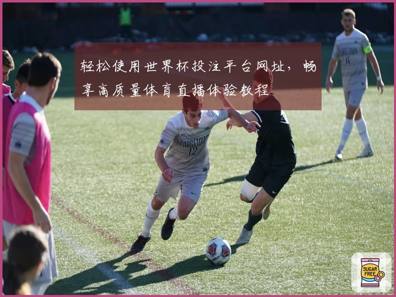 轻松使用世界杯投注平台网址，畅享高质量体育直播体验教程