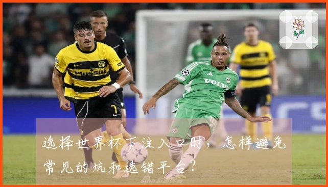 选择世界杯下注入口时，怎样避免常见的坑和选错平台？