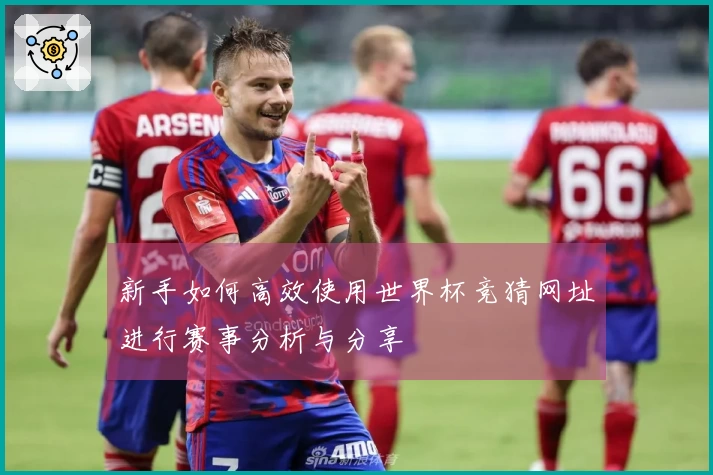 新手如何高效使用世界杯竞猜网址进行赛事分析与分享